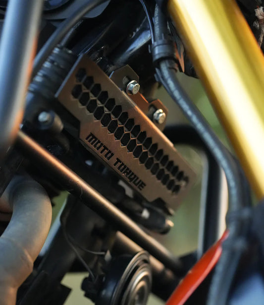 Moto Torque - TVS RONIN - RADIATOR GUARD (BLACK)