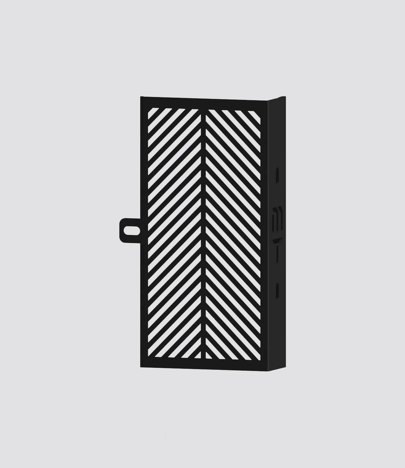 Moto Torque - XPULSE 200 4v - Radiator Guard